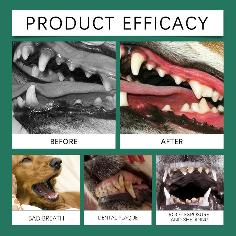 Bubuk Pembersih Gigi Anjing, M - Teeth Whitening Near Me ulasan dan harga